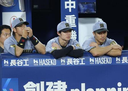 ４回、ベンチから戦況を見る（左から）梅野、中野、坂本（撮影・西岡正）