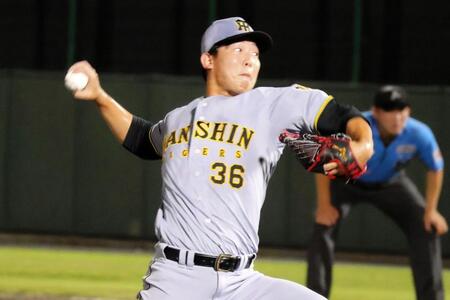 ６回、力投する畠