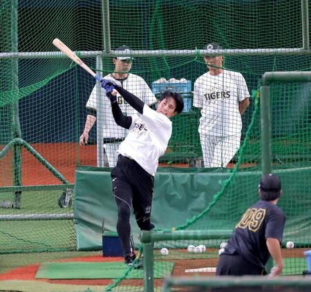 早出特打で汗を流す木浪（撮影・立川洋一郎）