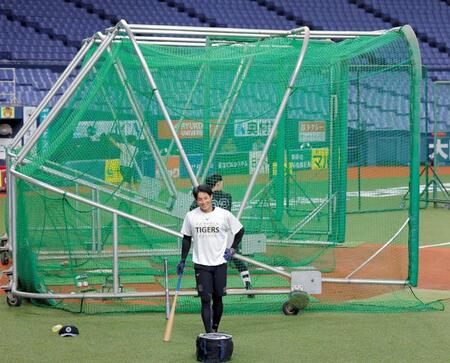 １軍に合流し、早出練習に参加する木浪（撮影・西田忠信）