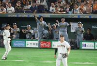 ６回、元山の２点適時三塁打で盛り上がる阪神ベンチ（撮影・金田祐二）
