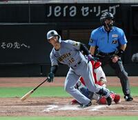 ８回、左翼線に適時二塁打を放つ坂本（撮影・山口登）