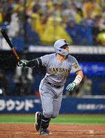 ８回、佐藤輝が右越にソロを放つ（撮影・堀内翔）