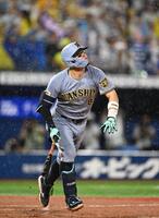 ８回、佐藤輝が右越にソロを放つ（撮影・堀内翔）