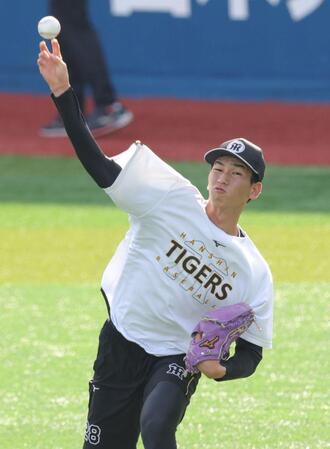 キャッチボールで調整する今朝丸（撮影・西岡正）