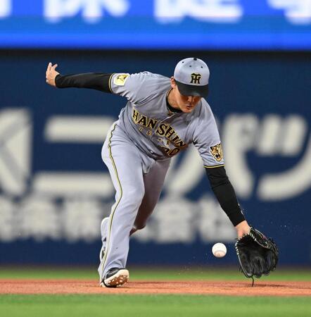 ６回、松尾の打球を捕る元山（撮影・堀内翔）