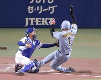 ４回、大山の左前打で本塁を狙うもタッチアウトになる森下（撮影・立川洋一郎）