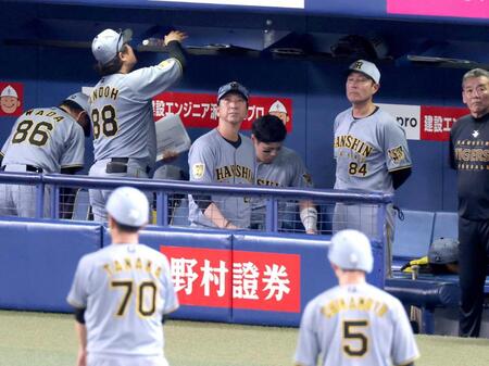 　試合が終わりベンチを後にする藤川監督（中央）（撮影・立川洋一郎）