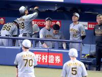 　試合が終わりベンチを後にする藤川監督（中央）（撮影・立川洋一郎）