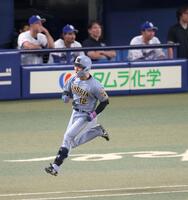 ８回、逆転２ランを放ち飛び跳ねて喜ぶ坂本（撮影・立川洋一郎）