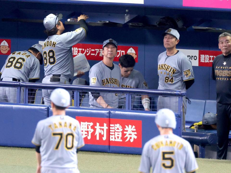 　試合が終わりベンチを後にする藤川監督（中央）（撮影・立川洋一郎）