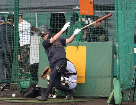 フリー打撃で打ち込むディベイニー（撮影・立川洋一郎）