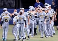ナインと勝利のタッチを交わす藤川監督（２２）＝撮影・立川洋一郎