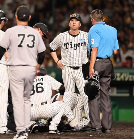 ７回、死球を受け倒れ込んだ森下を心配する藤川監督（撮影・田中太一）