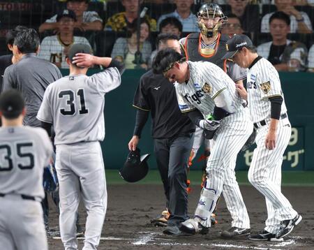 ７回、死球を受け手当に向かう森下（中央）＝撮影・立川洋一郎