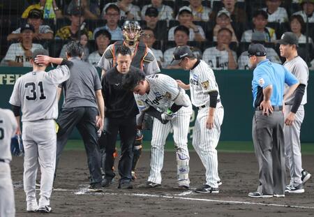 ７回、死球を受け手当に向かう森下（中央）＝撮影・立川洋一郎
