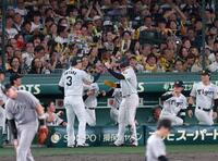 ５回、右犠飛を放ち生還した森下（中央右）とタッチを交わす大山（３）＝撮影・立川洋一郎