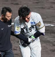 ７回、左手首に死球を受けベンチに戻る森下（撮影・山口登）
