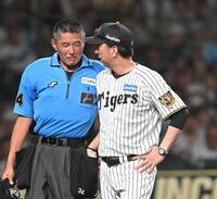 ７回、森下が死球を受け、球審と話す藤川監督（撮影・飯室逸平）