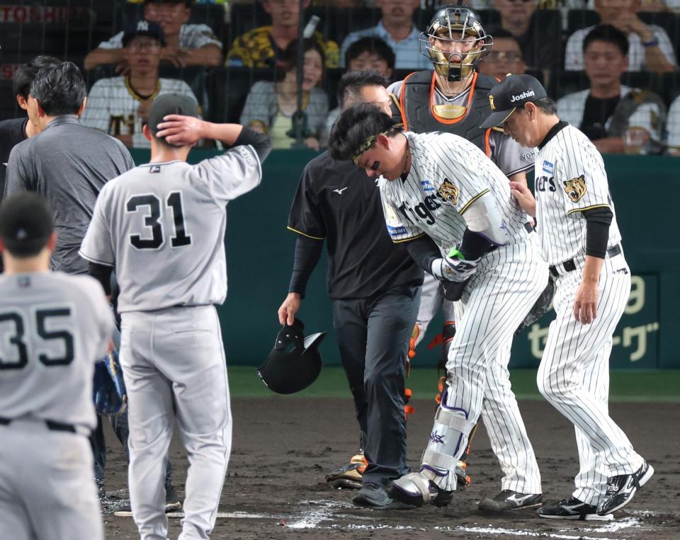 ７回、死球を受け手当に向かう森下（中央）＝撮影・立川洋一郎