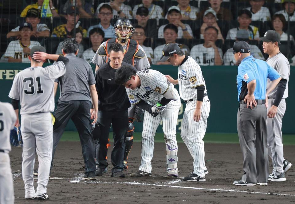 ７回、死球を受け手当に向かう森下（中央）＝撮影・立川洋一郎