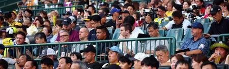 　ネット裏で視察するＭＬＢ関係者ら（撮影・山口登）