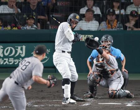 ３回、死球を受ける佐藤輝（撮影・立川洋一郎）