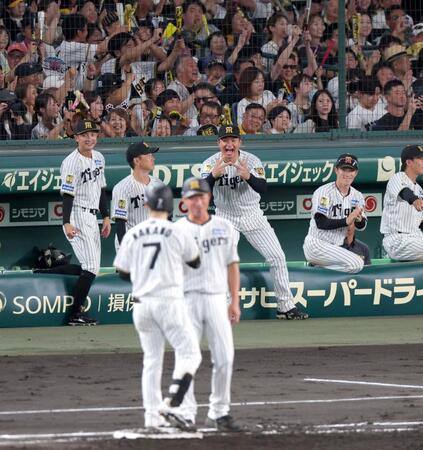 ３回、２点適時打を放った中野（７）をたたえてポーズを見せる森下（中央奥）ら（撮影・立川洋一郎）