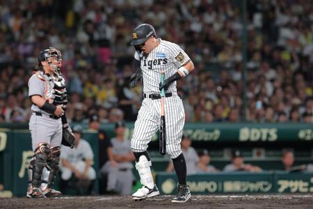 ３回、死球を受けた佐藤輝（撮影・西田忠信）