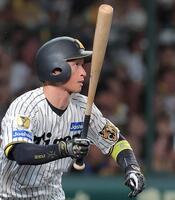 ３回、近本の中ゴロで先制する（撮影・西田忠信）