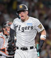 ３回、死球を受けた佐藤輝（撮影・西田忠信）
