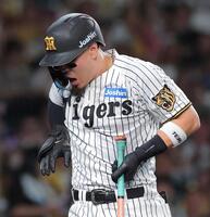 ３回、死球を受けた佐藤輝（撮影・西田忠信）
