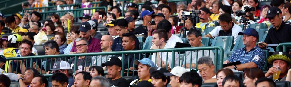 　ネット裏で視察するＭＬＢ関係者ら（撮影・山口登）