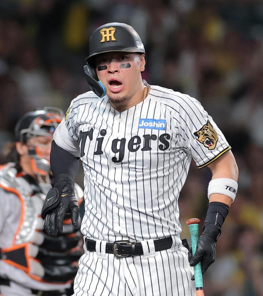 ３回、死球を受けた佐藤輝（撮影・西田忠信）