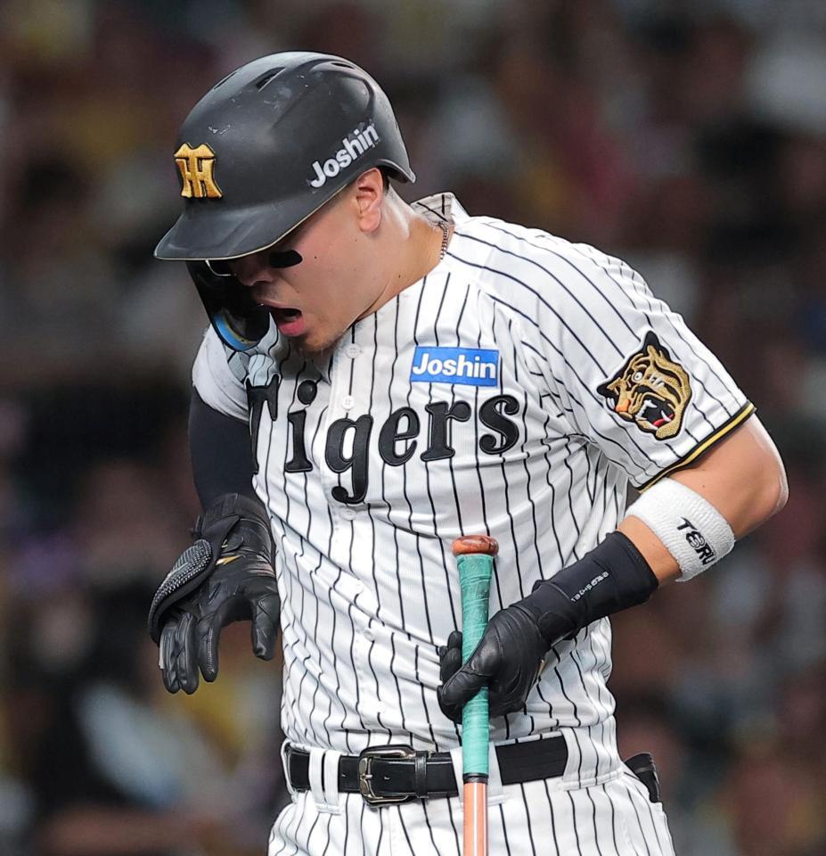 ３回、死球を受けた佐藤輝（撮影・西田忠信）