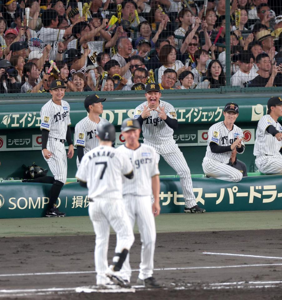 ３回、２点適時打を放った中野（７）をたたえてポーズを見せる森下（中央奥）ら（撮影・立川洋一郎）