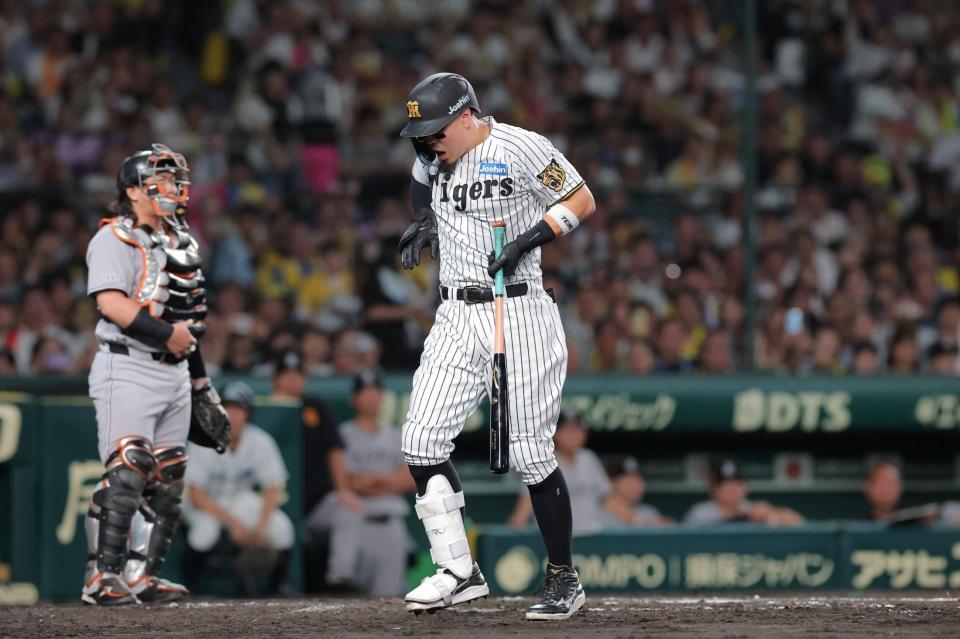 ３回、死球を受けた佐藤輝（撮影・西田忠信）