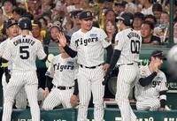 ３回、中野の適時打で生還した近本、元山を迎える森下（撮影・田中太一）