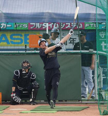 打撃練習する森下（撮影・金田祐二）