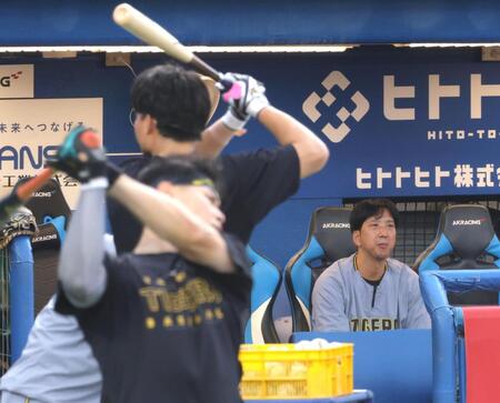 練習する佐藤輝（手前）、森下（奥）らを見つめる藤川監督（撮影・吉澤敬太）