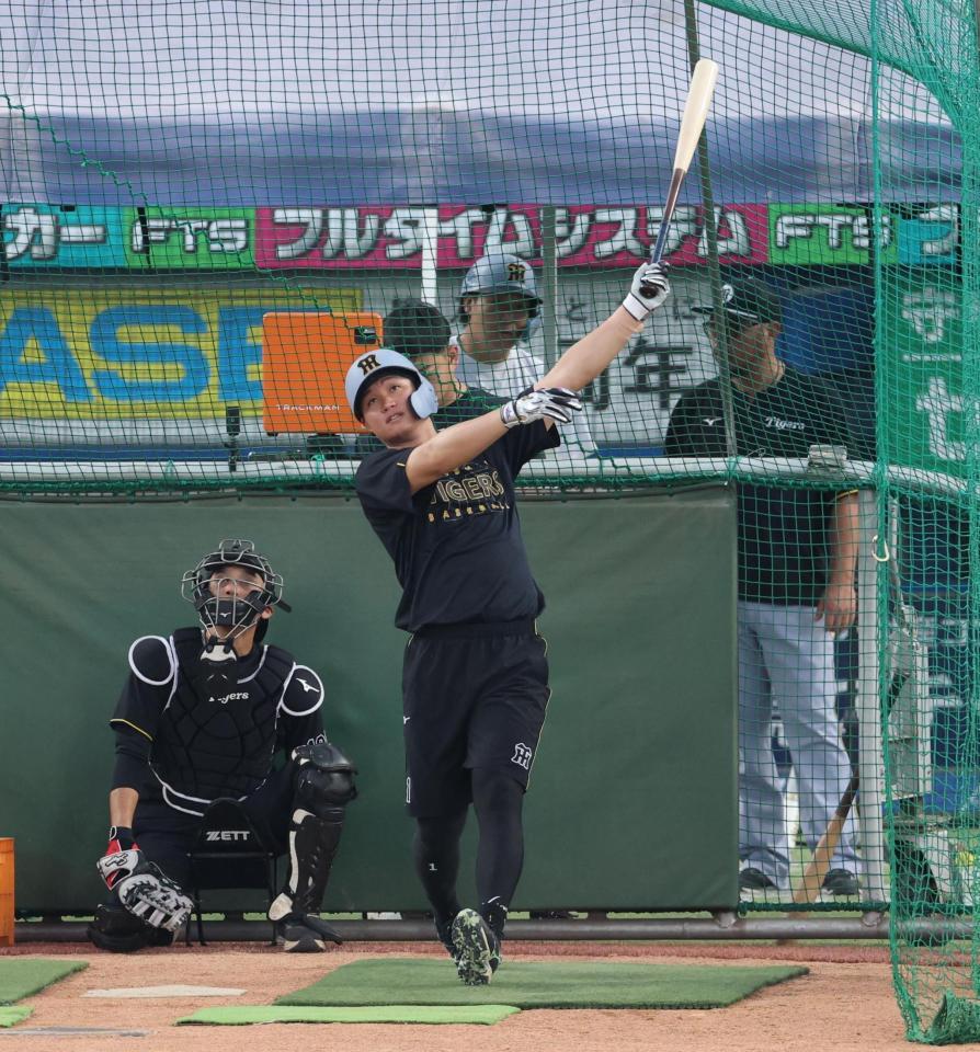 打撃練習する森下（撮影・金田祐二）