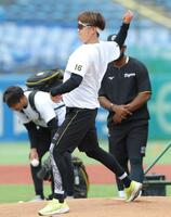 神宮のマウンドを確かめる西勇（撮影・吉澤敬太）