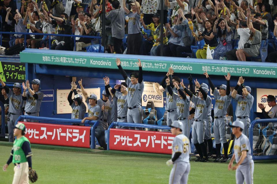 １日のヤクルト戦の５回、高橋の先制適時打で盛り上がる阪神ベンチ（撮影・金田祐二）