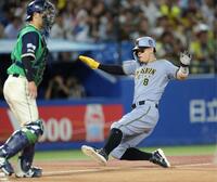 １回、前川の右犠飛で三塁からタッチアップする佐藤輝（撮影・西岡正）