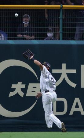 ３回、岡村の打球を立石が好捕、勢い余ってフェンスにぶつかる（撮影・坂部計介）