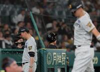 ８回を終え選手交代を告げた藤川監督。右は凡退した佐藤輝（撮影・西田忠信）