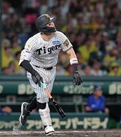 ４回、ソロを放つ佐藤輝（撮影・西田忠信）