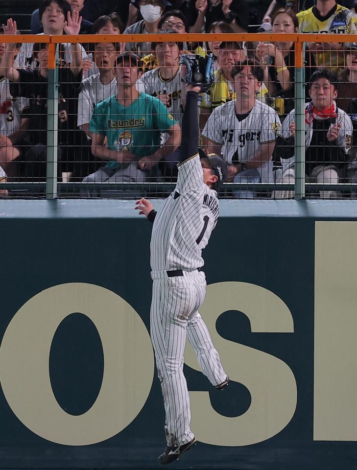 ９回、エンカーナシオンの右飛を好捕する森下（撮影・西田忠信）