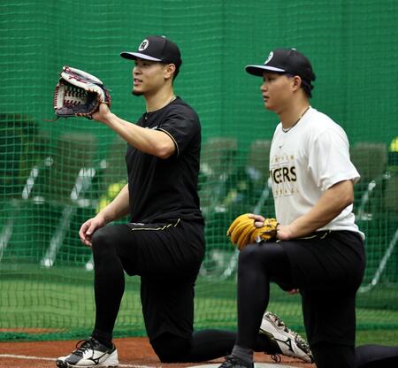 キャッチボールをする佐藤輝（左）と森下（撮影・田中太一）