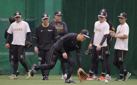 １軍に合流し守備練習をする豊田（中央）＝撮影・西田忠信